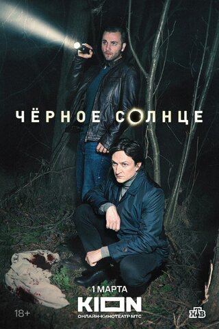 Чёрное солнце - постер